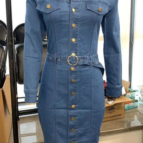 Belted Denim Shirt Dress