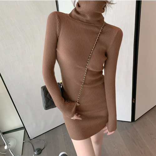 Ribbed Turtleneck Mini Dress