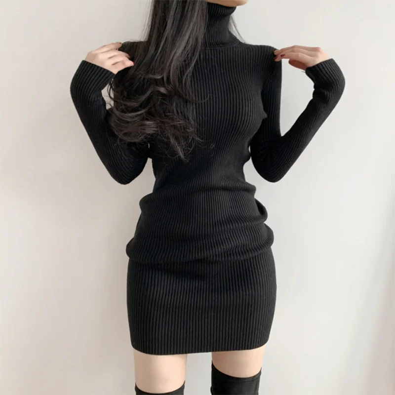 Ribbed Turtleneck Mini Dress