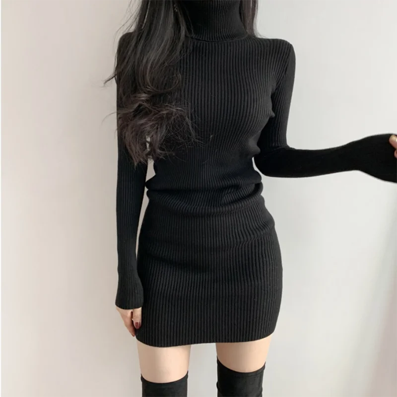 Ribbed Turtleneck Mini Dress
