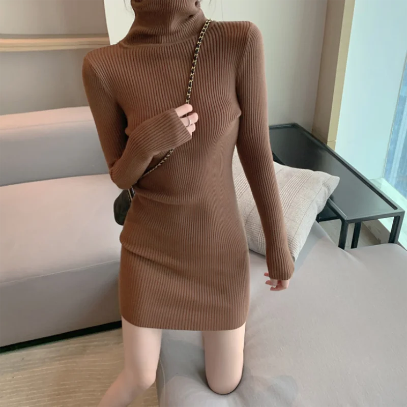 Ribbed Turtleneck Mini Dress