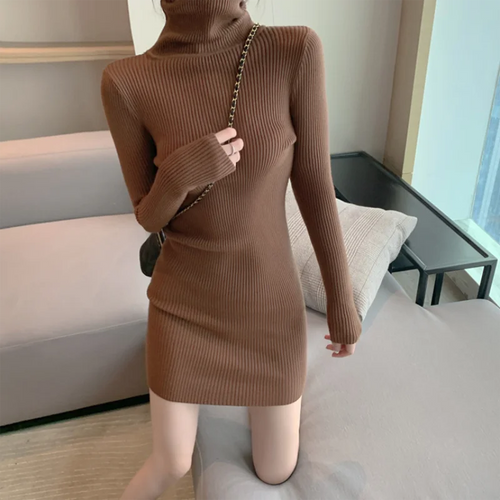 Ribbed Turtleneck Mini Dress